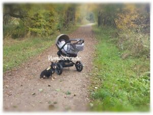 Spaziergang mit Baby und Hund im Quinny Mood zum Thema "Mama, bitte dreh die Karre um"