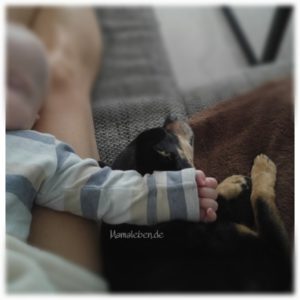 Baby und Hund schlafen