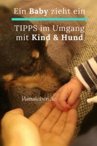 Ein Baby zieht ein - einfache Tipps im Umgang mit Kind und Hund. #hunde #baby #kindundhund #hundundkind #hundetipps #babytipps #mamaleben