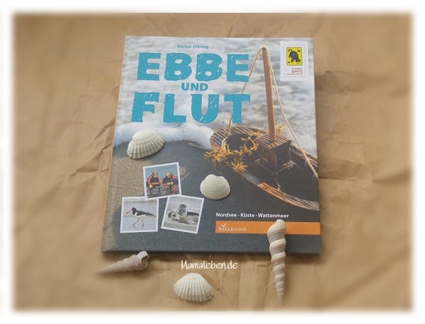 Sachbuch Ebbe und Flut Kinder