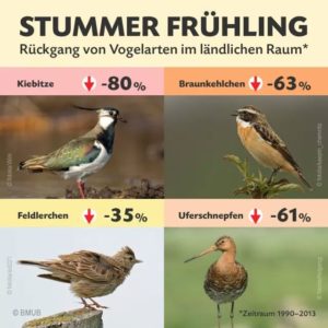 Rückgang von Vogelarten