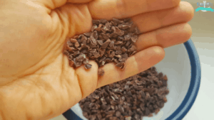 Was sind Roh Kakao Nibs und wieso sind sie ein Superfood