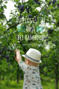 Ausflugs-Tipp auf einen #bio Obsthof bei #hamburg #pflaumen #ausflugstipp