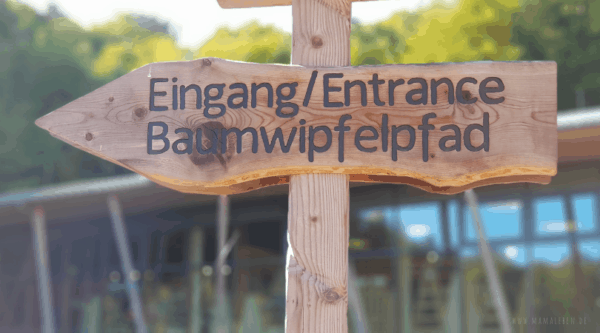titelbild Baumwipfelpfad Rügen
