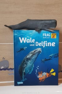 #buchtipp Wir stellen euch verschiedene #kinderbücher aus der Reihe "Frag doch mal die Maus" vor. Ab 3 Jahre bis zum #sachbuch für Schulkinder. 