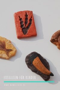 Ihr möchtet Fossilien suchen mit Kindern? Dann habe ich hier ein schönes Set für euch (selbst bezahlt). #dino #dinos #dinosaurier #fossilien #kindergeburtstag #überraschung #kindergarten #vorschule #garten 