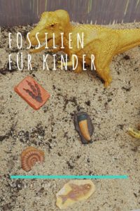 Fossilien suchen mit Kindern und für eine #überraschung sorgen! Sind eure Kinder auch Dino-Fans? Ich habe tolle #fossilien gefunden, die man prima verstecken kann. Ein Hit auf jedem #kindergeburtstag - #dinos #dinosaurier #kindergarten #sandkiste #outdoor #garten 