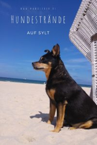 Hundestrände auf #sylt - wir haben sie getestet #hunde #hund #reisenmithund #nordsee