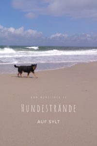 Hundestrände auf Sylt im Test - #sylt #hunde #nordsee #urlaubmithund #reisen