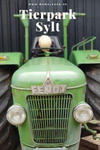 Der Tierpark auf Sylt hat uns überrascht - #sylt #tierpark #nordsee #traktor #fendt