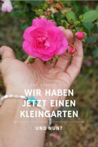 Wir haben jetzt einen #kleingarten - wie kam das und wie geht es nun weiter? #schrebergarten #garten #gärtnern #gartenideen