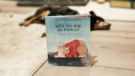 ein Buch über Trauer und Abschied nehmen für Kinder weil du mir so fehlst