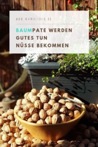 bio veganer Walnussanbau vor den Toren Berlins. Ihr fragt euch was das ist? Schaut mal hier vorbei. #walnuss #walnüsse #nüsse #bio #ernährung #gesund