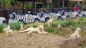 Safari Autofahren im Legoland Billund