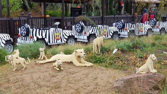 Safari im Legoland