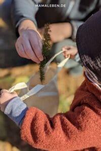 sammeln im Wald